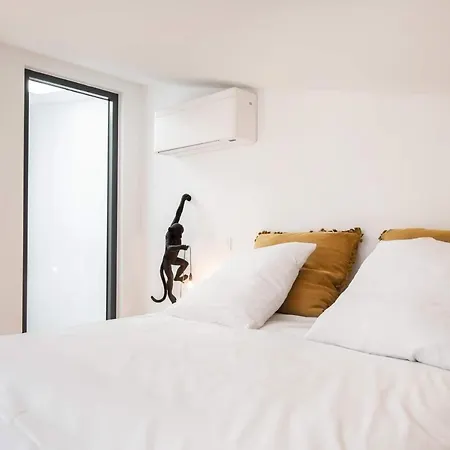 Le Loft De La Tour Pinte Carcassonne