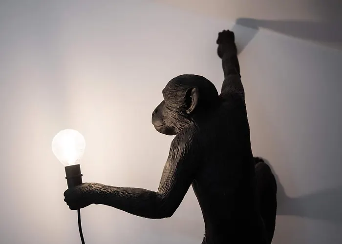 Le Loft De La Tour Pinte Carcassonne